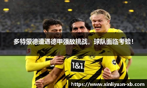 yy易游体育