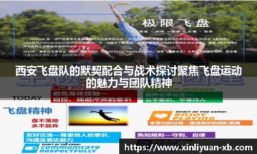 yy体育