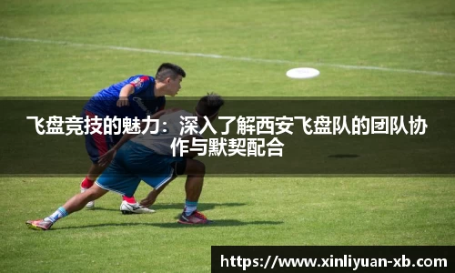 飞盘竞技的魅力：深入了解西安飞盘队的团队协作与默契配合