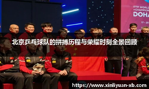 北京乒乓球队的拼搏历程与荣耀时刻全景回顾